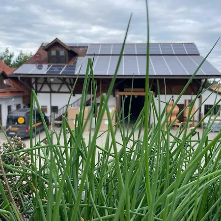 Mit Herz Und Holz Apartment